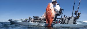 Man in kayak holding a Snapper